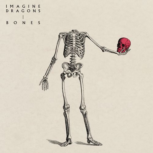 Bones Poster