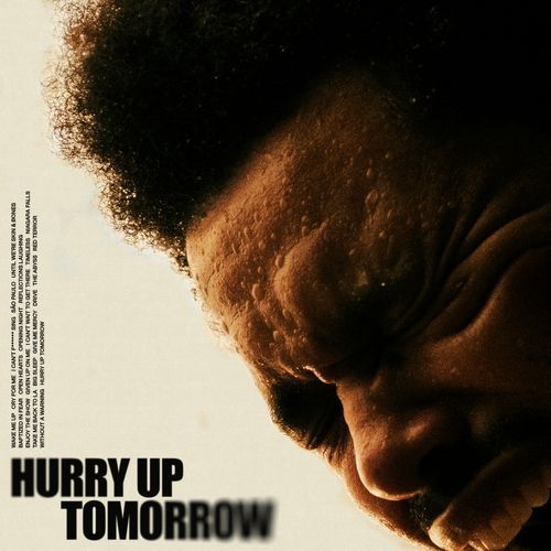 Given Up On Me Poster