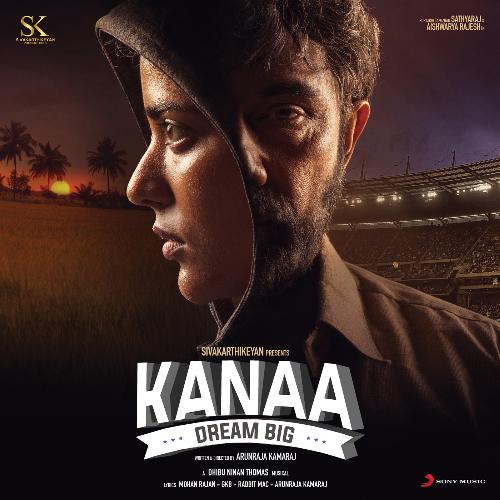 Vaayadi Petha Pulla Poster