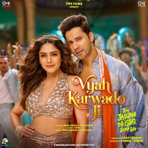 Vyah Karwado Ji Poster