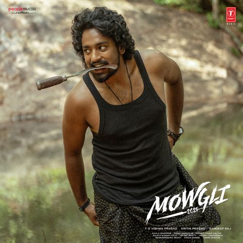 Vanavaasam Poster