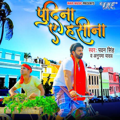 Pudina Ae Haseena Poster