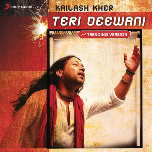 Teri Deewani Poster