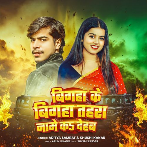 Bigha Ke Bigha Tahra Name Ka Dehab Poster