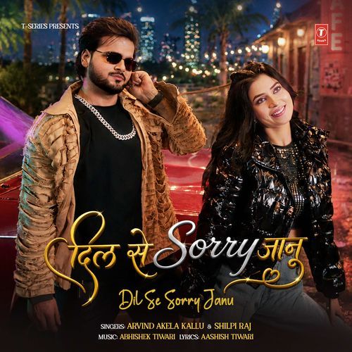 Dil Se Sorry Janu Poster