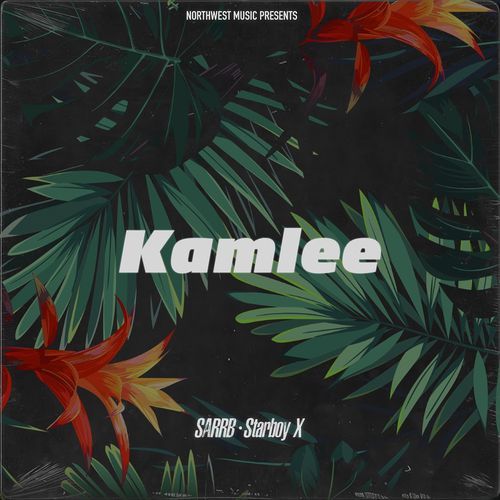 Kamlee Poster