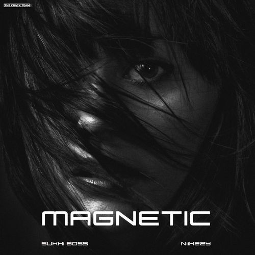 Magnetic Poster