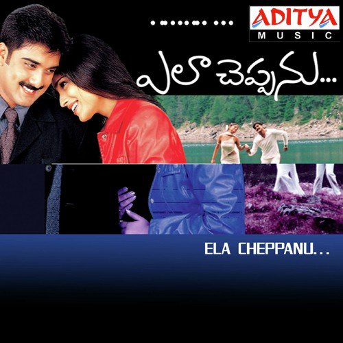 Meghala Pallakilona Poster