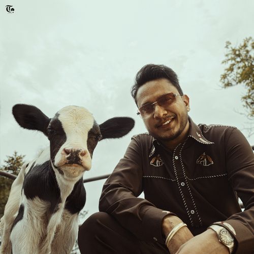 Untamed Poster